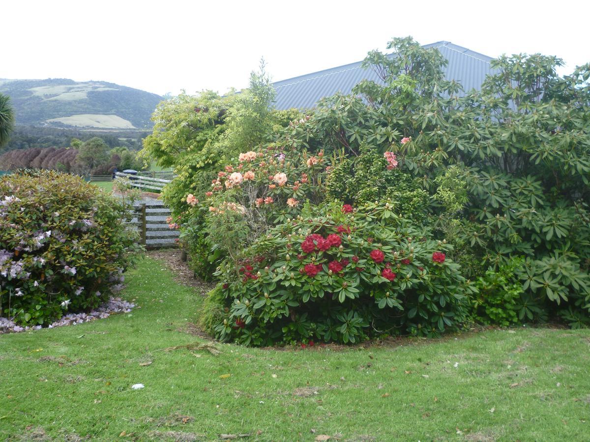 Hilltop Accommodation Catlins Papatowai Kültér fotó